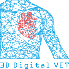 3D_digital_vet_logo